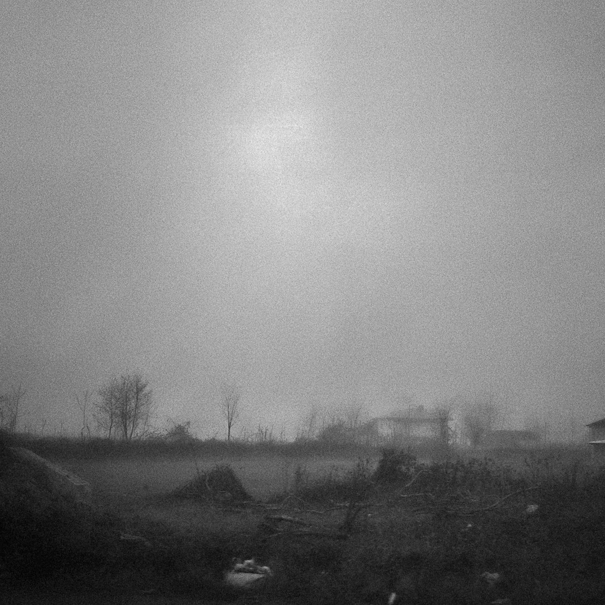 Dreary Omid Shalmani